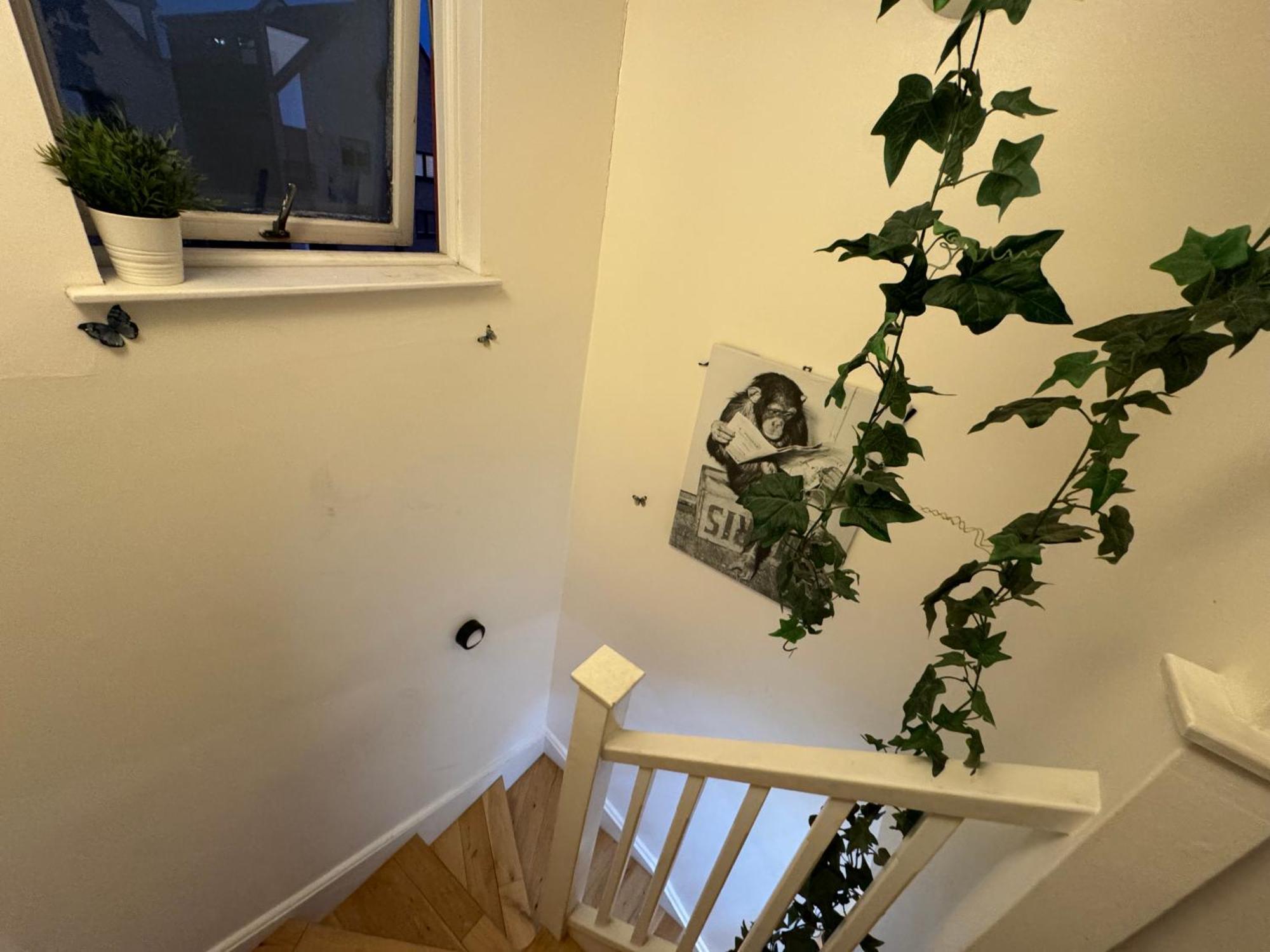 Cozy Rooms Near Central Лондон Екстериор снимка